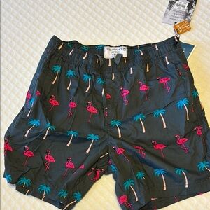 Flamingo and Palm Tree Print Shorts